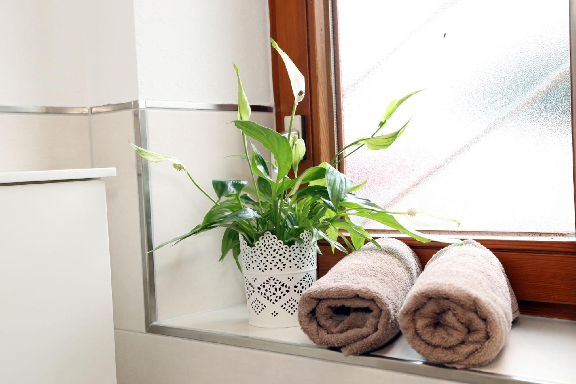 Appartement Schwarzwaldstueble Oberharmersbach Zewnętrze zdjęcie