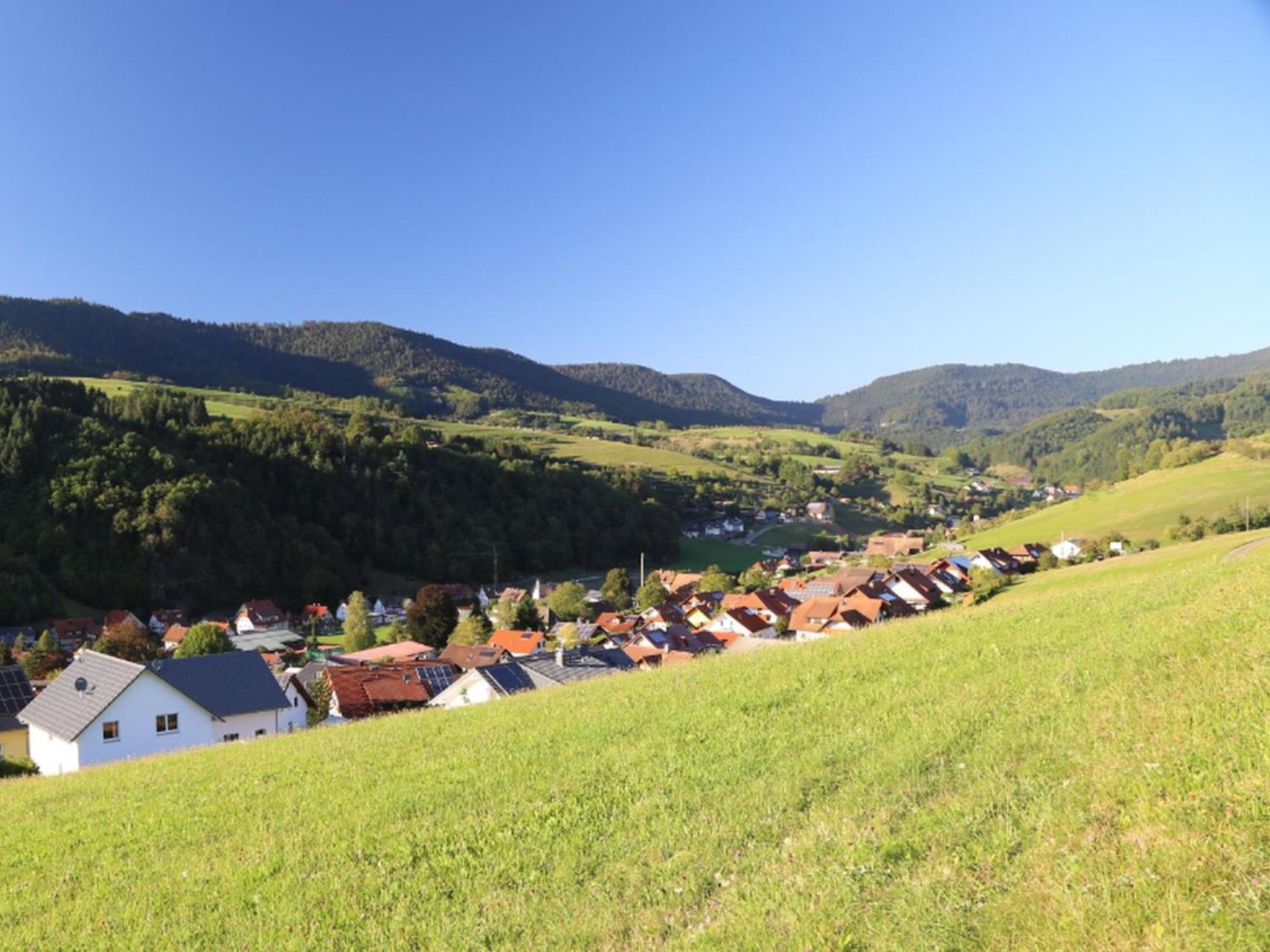 Appartement Schwarzwaldstueble Oberharmersbach Zewnętrze zdjęcie