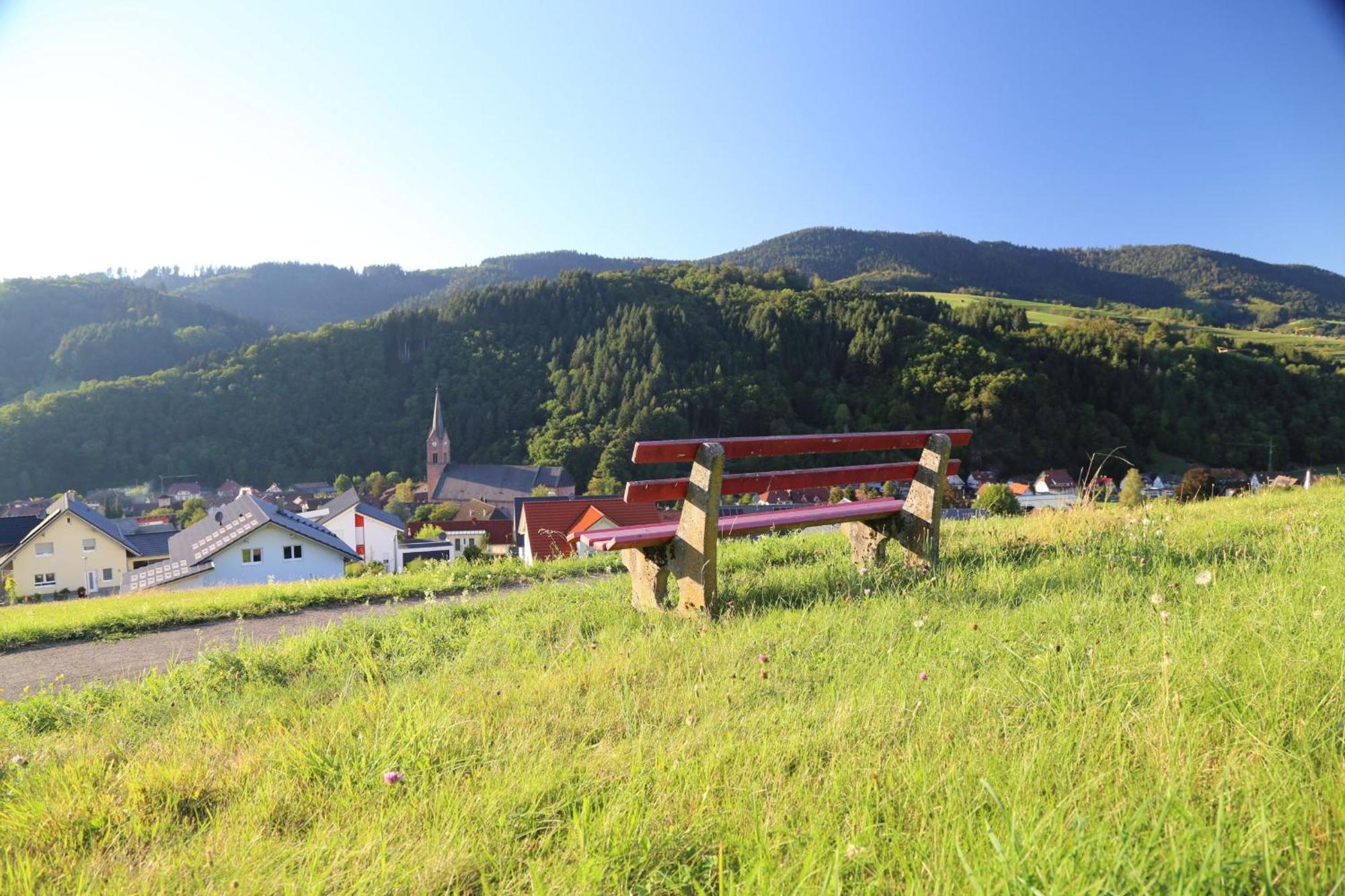 Appartement Schwarzwaldstueble Oberharmersbach Zewnętrze zdjęcie